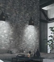 RDNLYDARK-1