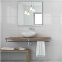 CERAMICA CSL BLANCO BRILLANTE C1 (27*45) 2.07 M2