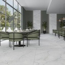 PORC.HAL PRECIOUS WHITE SILK PA02 C1 (60*120) 1.44 M2