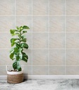 CERAMVLRIABG-1