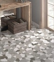 CERAMSILVER-1