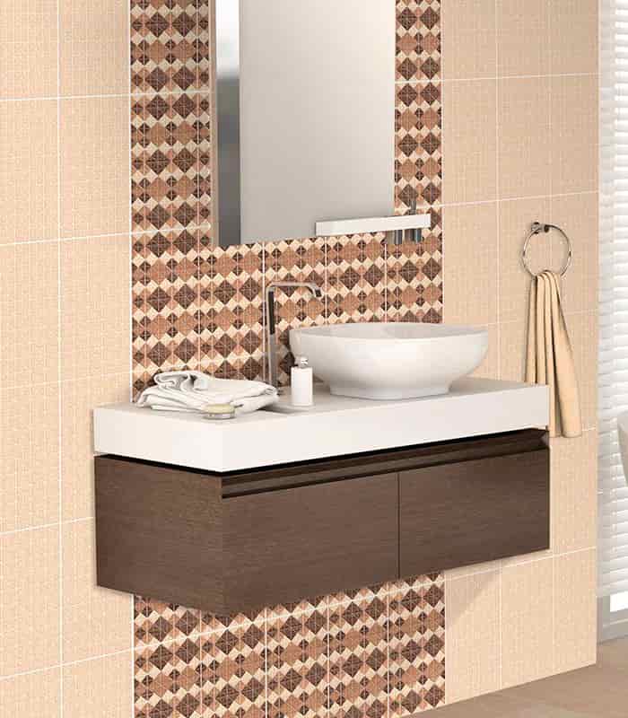 CERAMICA  APIS (24.5*50) 1.96 M2