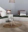 CERAMTEAHA-1