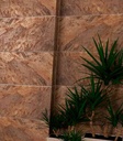ITLSARENAT-1
