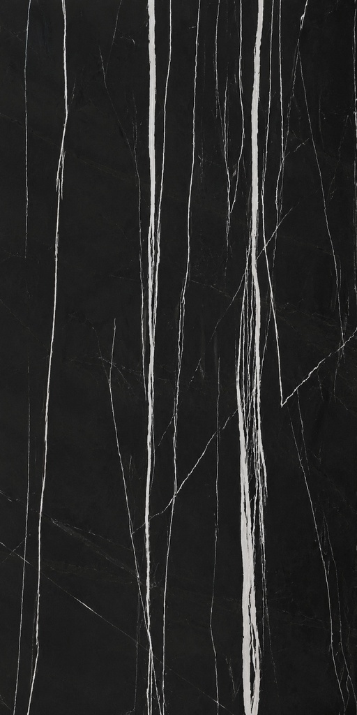 PORCELANATO TREN  ZEBRA BLACK HG C1  (60*120) 1.44 M2 (68CJ*P)