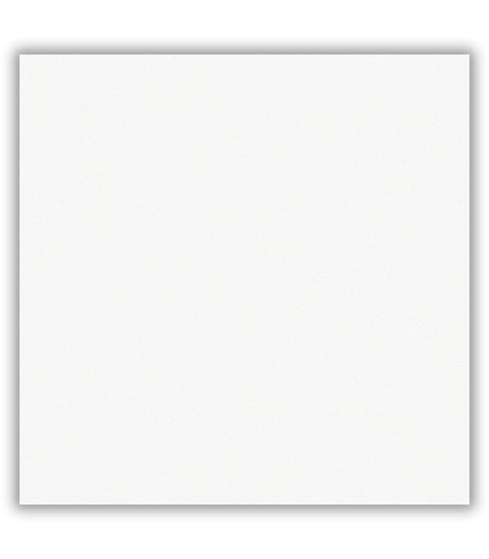 CERAMICA PISO CEL AMERICA BLANCO (45*45) 2.03 MT2