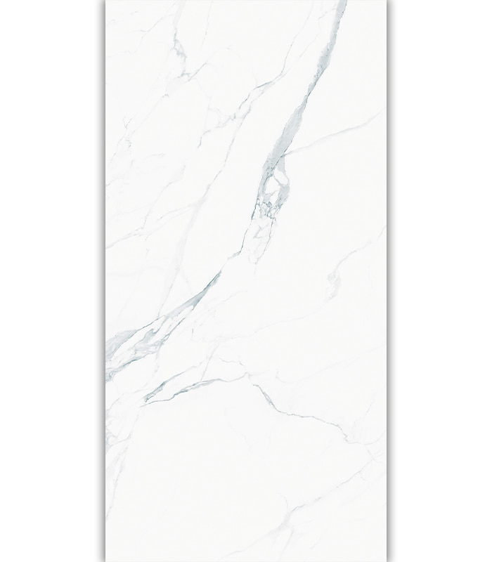 PORCELANATO BALLET TUARIO  (80*160) 1.28 M2 4101