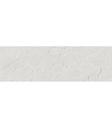 PORCELANATO BOTANIA WHITE  RECT MAT (31.6*100)
