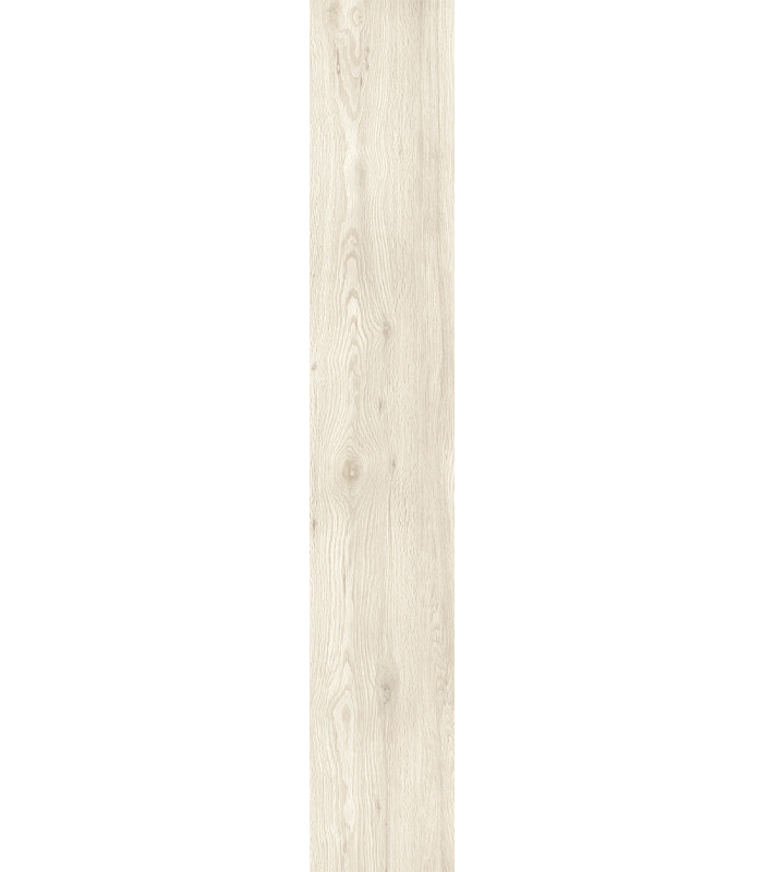 PORCELANATO GIARDINO WH ACT (20*120) 