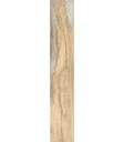 PORCELANATO INFN BIRCH (24*150) (B50 C)