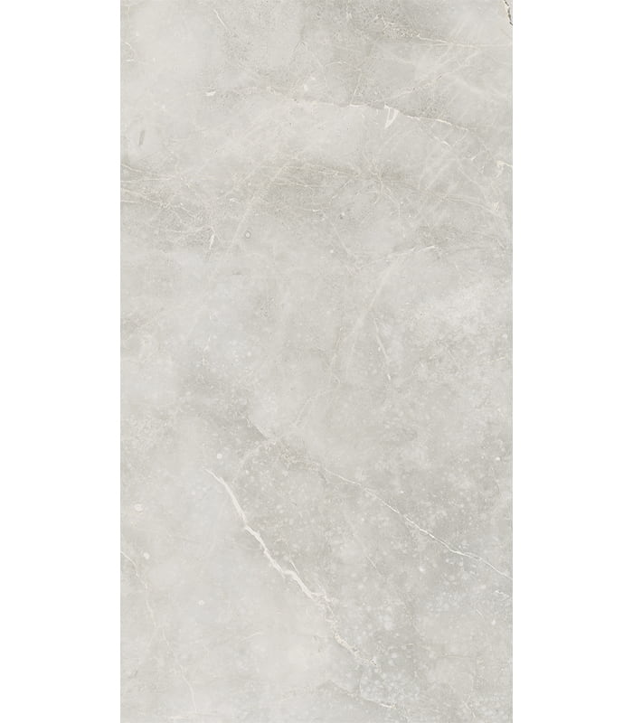 PORCELANATO PORT MAGNUM HD SGR ( 60*120) 0.685 PLA 1.37 MT 5023