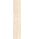 PORCELANATO TAVOL ALMENDRA RECT PRIM (20x120) 1.42 mt
