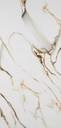PORCELANATO TREN RAGA CORIDO GOLD C1 (60*120) 1.44 M2