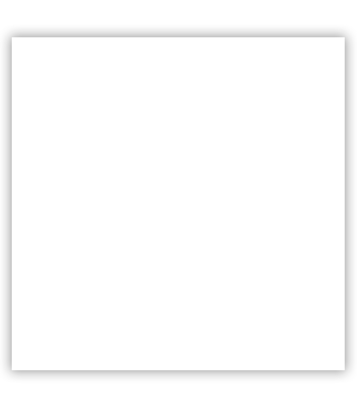 PORCELANATO CAT SUPER WHITE HG (80*80) 1.92M2                                   