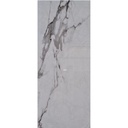 PORC TRN STATUARIO BOTTEGA SILVER C1 (60*120) 1.44 MT2