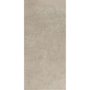 CERAMICA CTF R3161 C1 (31*55) 2.08 M2 (64CSJ*P)