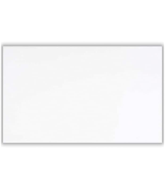 CERAMICA  AT BRILLO BLANCO (33.3x55) 1.84 M2 (YNG39)