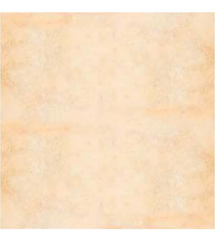 CERAMICA  HD POMPEI CORAL (43.2x43.2) 2.05 M2