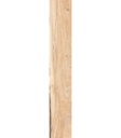 MUESTRA  SHERWOOD NAPLE