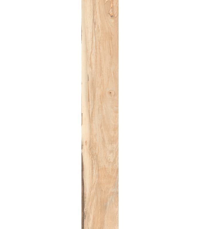 MUESTRA  SHERWOOD NAPLE