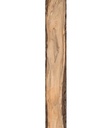 MUESTRA  SHERWOOD OAK