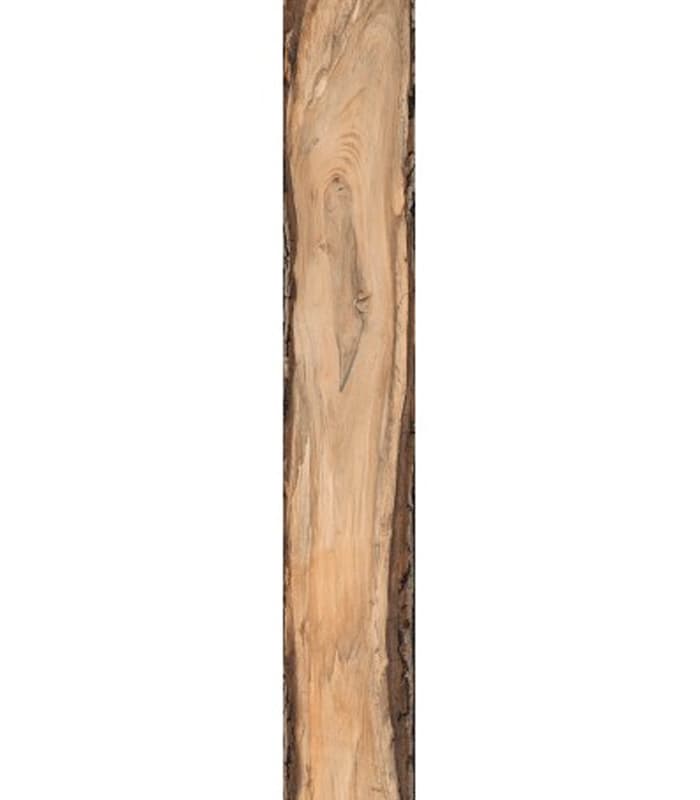 MUESTRA  SHERWOOD OAK