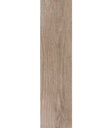 PORCELANATO AT CARSON MIEL AG14 (25*100)