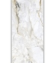 PORCELANATO CR PISA GOLD (120*260) 3.12MT (G3)