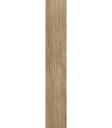 PORCELANATO GIARDINO BE NAT (20*120)     