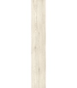 PORCELANATO GIARDINO WH ACT (20*120) 