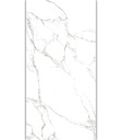 PORCELANATO RDN CNVA STATUARIO RET (60*120) 1.44 MT