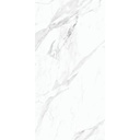 PORC TREN STATUARIO REGALIA C1 HG (80*240) 1.92 MT2