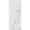 PORC.HAL PRECIOUS WHITE SILK PA02 C1 (60*120) 1.44 M2
