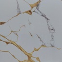 PORC TREN ELPY66076 C1  (60*60) 1.44 M2